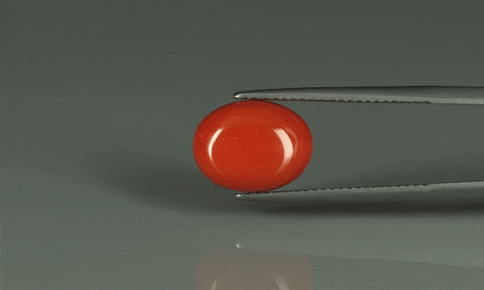 Coral  - 6.15ct - KC110255