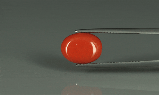 Coral  - 6.2ct - KC110684