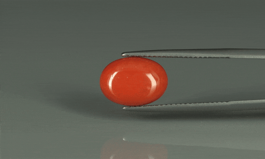 Coral  - 5.95ct - KC110685