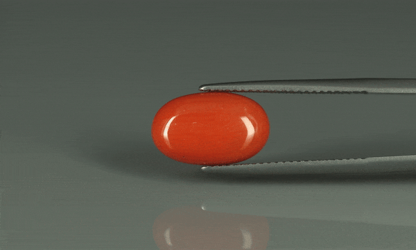 Coral  - 5.2ct - KC110688