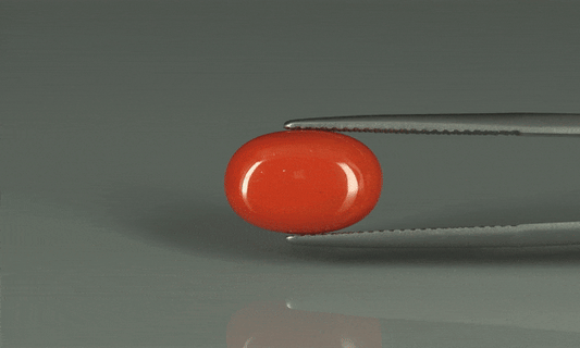 Coral  - 6ct - KC110732