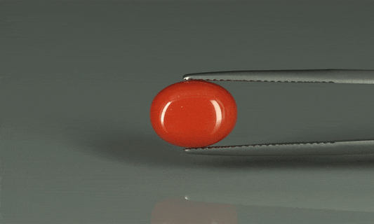 Coral  - 5.6ct - KC110910