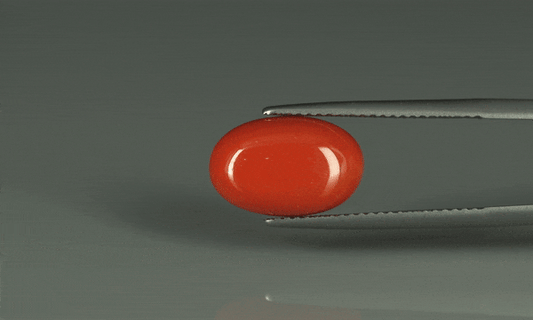 Coral  - 6.9ct - KC110912