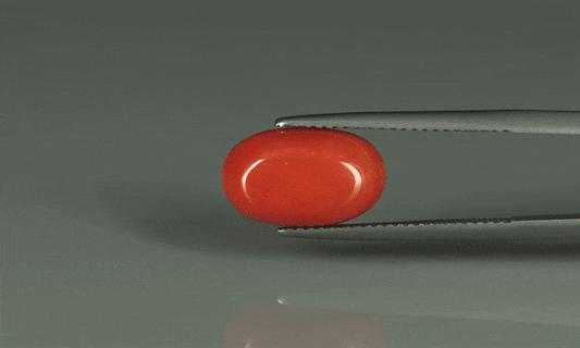 Coral  - 5.95ct - KC110941