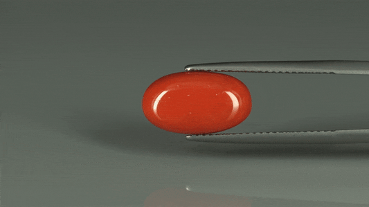 Coral  - 5.8ct - KC110943