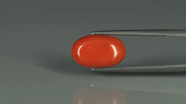 Coral  - 6.9ct - KC110944
