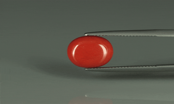 Coral  - 5.15ct - KC110946