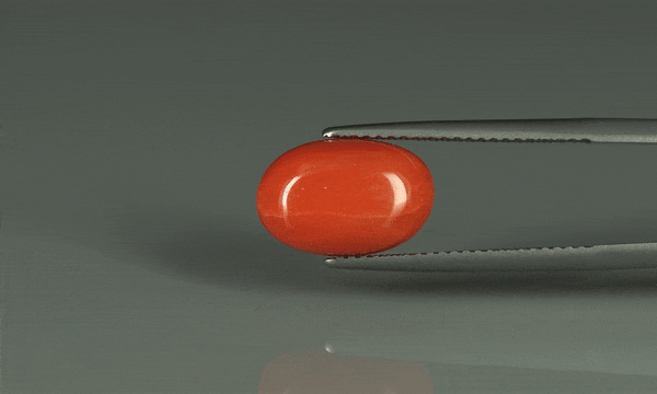 Coral  - 6ct - KC110947