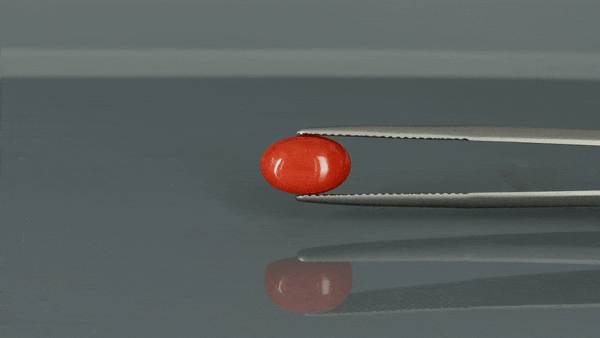 Coral  - 3.135ct - KC111356