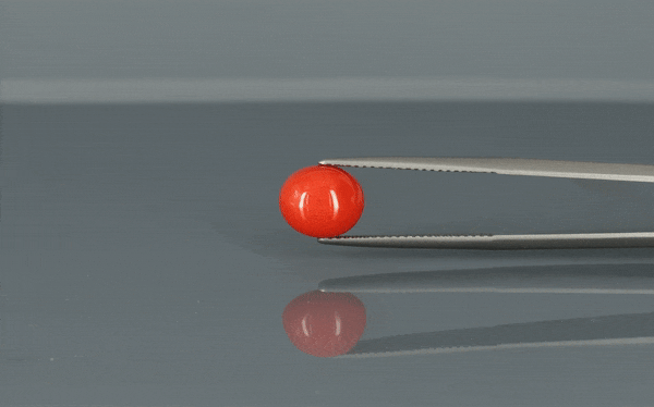 Coral  - 3.75ct - KC111357