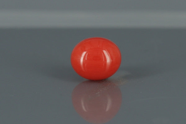 Coral  - 3.75ct - KC111357