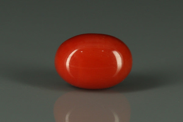 Coral  - 6.1ct - KC112388