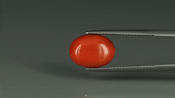 Coral  - 6.3ct - KC112389