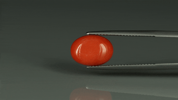 Coral  - 5.55ct - KC112392