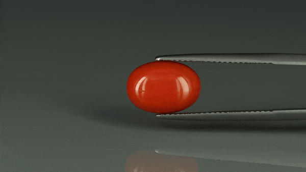 Coral  - 5.35ct - KC112399