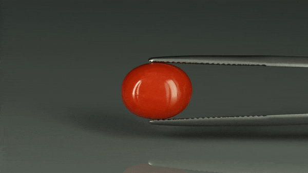 Coral  - 6.45ct - KC112400
