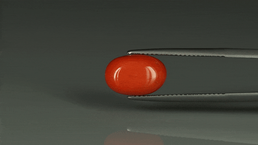 Coral  - 5.6ct - KC112404
