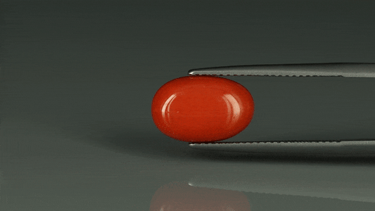 Coral  - 5.55ct - KC112405