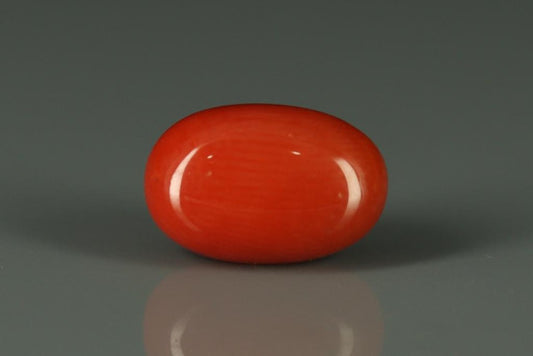 Coral  - 5.55ct - KC112405