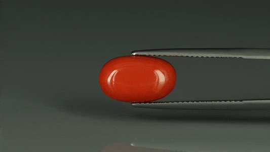 Coral  - 6.2ct - KC112406