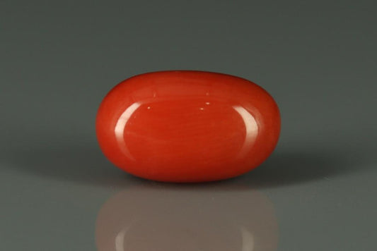 Coral  - 6.2ct - KC112406