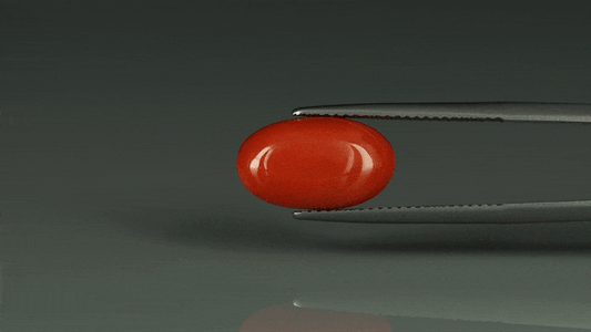 Coral  - 6.85ct - KC112411