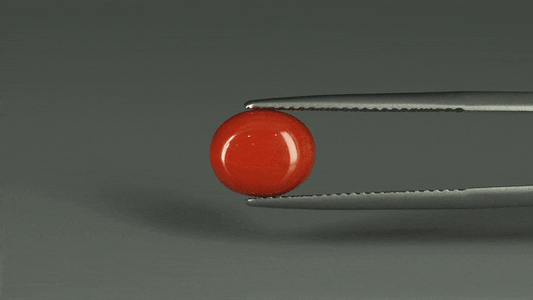 Coral  - 3.15ct - KC112415
