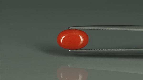 Coral  - 3.1ct - KC112417