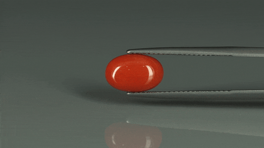 Coral  - 3.1ct - KC112417