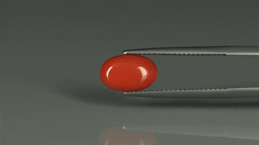 Coral  - 3.1ct - KC112419