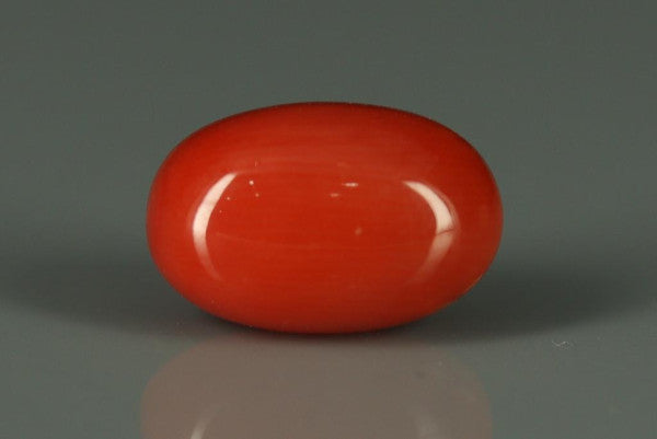 Coral  - 3.1ct - KC112419