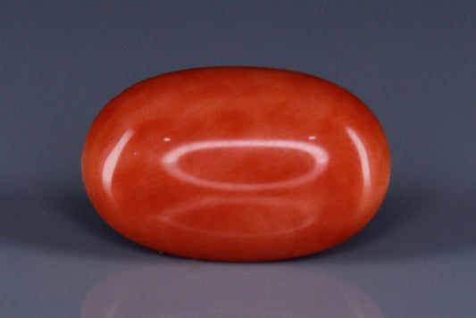 Coral  - 3.2ct - KC114018