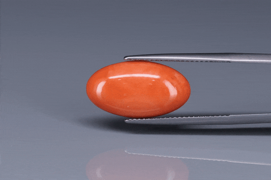 Coral  - 6.8ct - KC114023