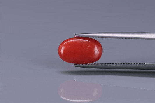 Coral  - 2.6ct - KC114128