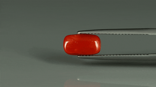 Coral  - 2.75ct - KC212546