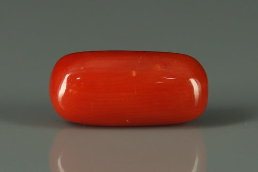 Coral  - 2.7ct - KC212547