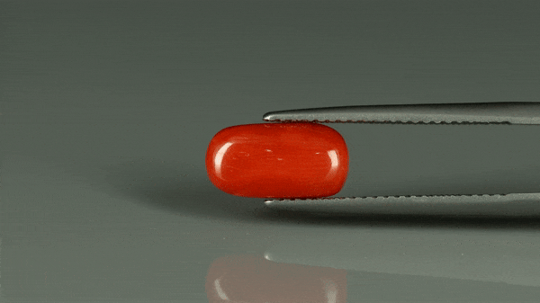 Coral  - 2.8ct - KC212548
