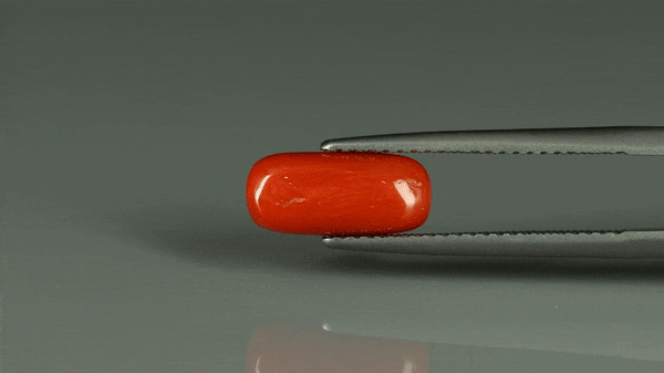 Coral  - 2.65ct - KC212549