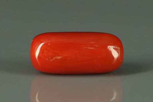 Coral  - 2.65ct - KC212549