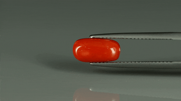 Coral  - 2.65ct - KC212550