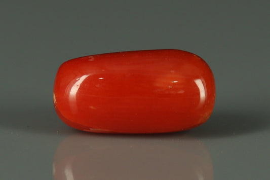 Coral  - 2.65ct - KC212550
