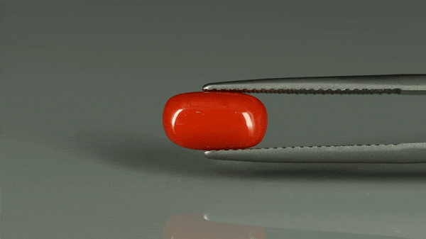 Coral  - 2.65ct - KC212551