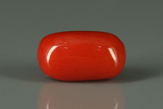 Coral  - 2.65ct - KC212551