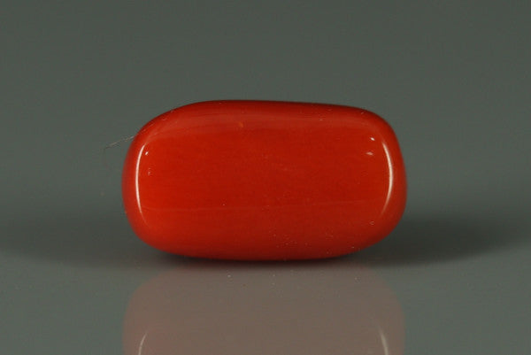 Coral  - 2.65ct - KC212551