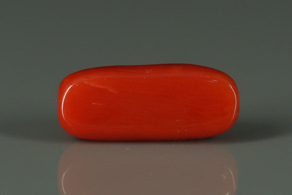 Coral  - 3.3ct - KC212556