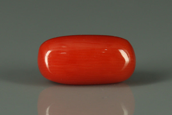 Coral  - 2.75ct - KC212591