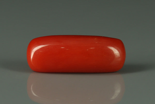 Coral  - 7.2ct - KC212638