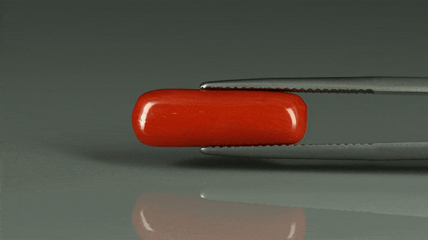 Coral  - 7.4ct - KC212644