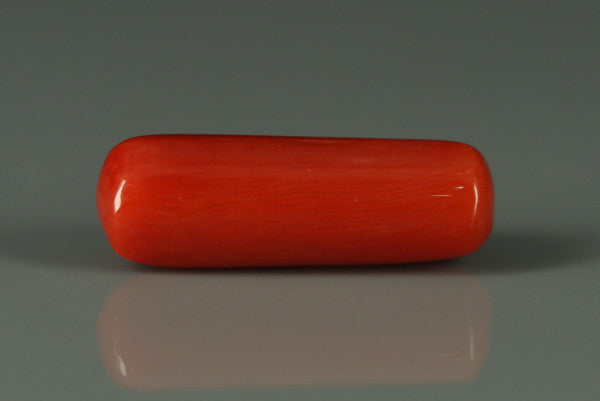Coral  - 7.4ct - KC212644