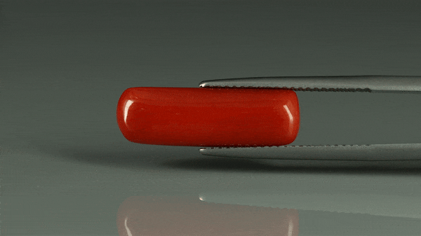 Coral  - 7.4ct - KC212646